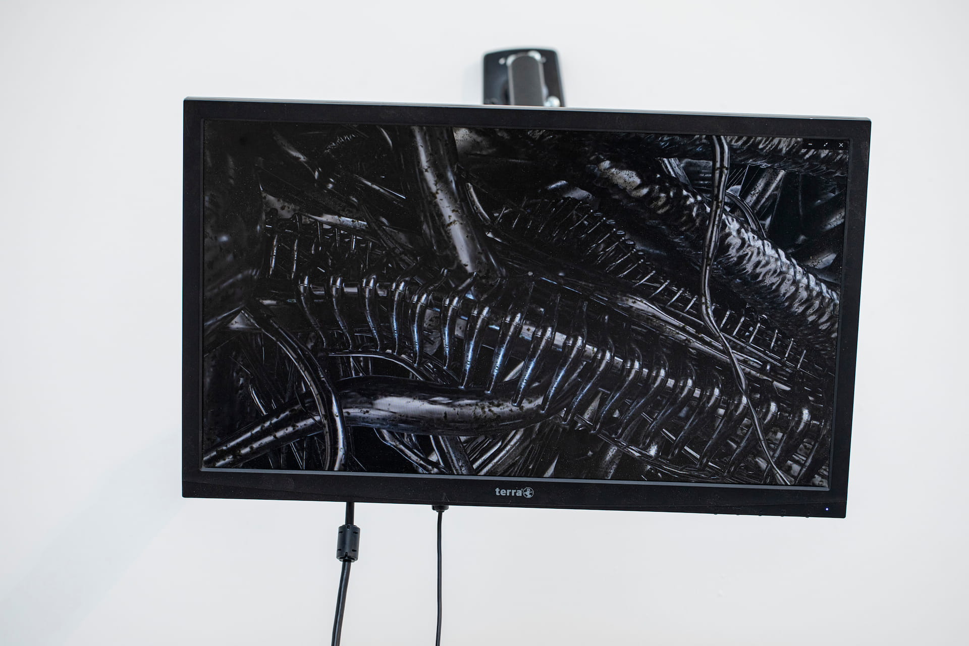 Features of the Living - Photo by Barnabás Neogrády-Kiss